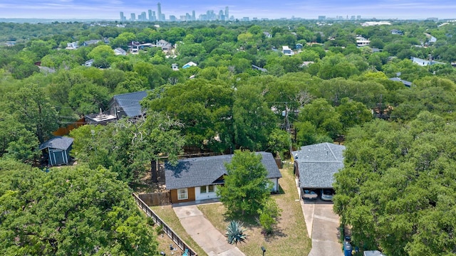 1302 Astor Pl, Austin, TX 78721 - aerial view of city skyline