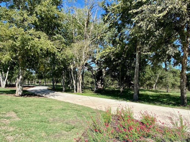 11804 Shimmering Sea Dr, Austin, TX 78747 - view of green lawn featuring driveway