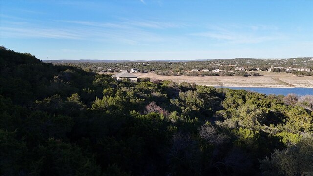 20819 Colorado Dr W, Spicewood, TX 78669