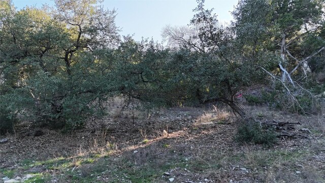 20819 Colorado Dr W, Spicewood, TX 78669