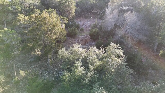 20819 Colorado Dr W, Spicewood, TX 78669