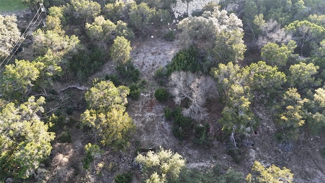 20819 Colorado Dr W, Spicewood, TX 78669