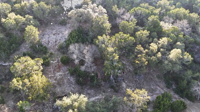 20819 Colorado Dr W, Spicewood, TX 78669