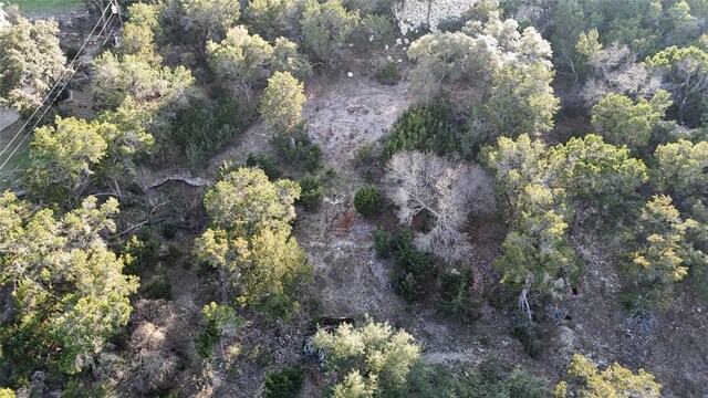 20819 Colorado Dr W, Spicewood, TX 78669