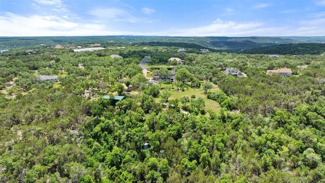 17700 N Rim Dr, Leander, TX 78641 - bird's eye view of a heavily wooded area