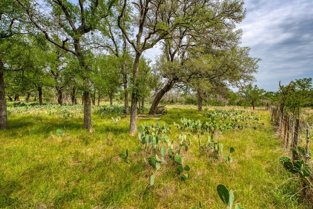624 N US Highway 281, Johnson City, TX 78636 - view of nature