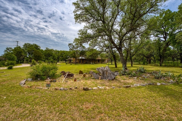 624 N US Highway 281, Johnson City, TX 78636 - view of grassy yard