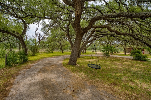 624 N US Highway 281, Johnson City, TX 78636 - view of grassy yard
