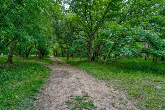 624 N US Highway 281, Johnson City, TX 78636 - view of dirt / gravel road