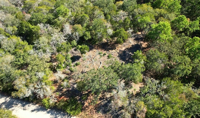 141 Helemano Dr, Bastrop, TX 78602