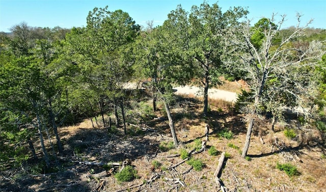 141 Helemano Dr, Bastrop, TX 78602