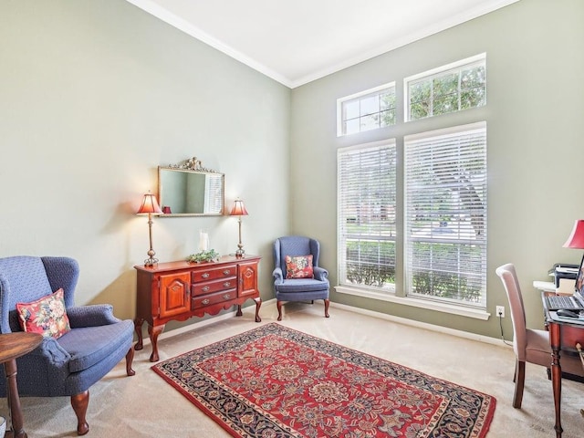 14928 Thatcher Dr, Austin, TX 78717 - carpeted office featuring crown molding and baseboards