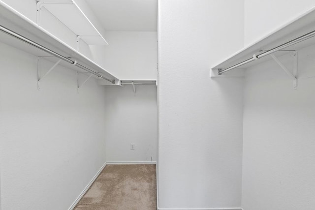 109 Silver Lace Ln, Round Rock, TX 78664 - walk in closet with light colored carpet