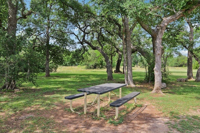 view of community with a yard
