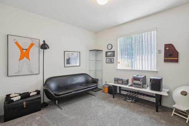 sitting room featuring carpet flooring
