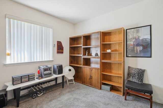 living area featuring carpet