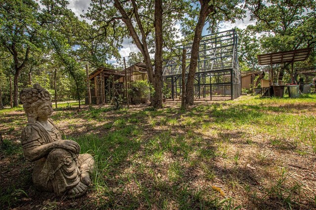 914 Sand Hills Rd, Red Rock, TX 78662 - photo 33