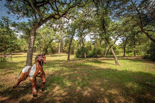 914 Sand Hills Rd, Red Rock, TX 78662 - view of green lawn