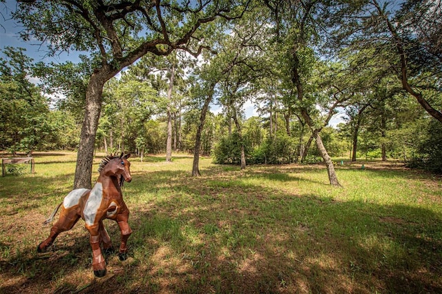 914 Sand Hills Rd, Red Rock, TX 78662 - view of grassy yard