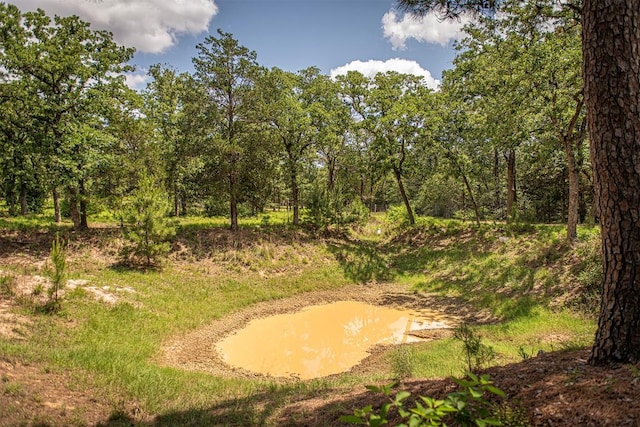 914 Sand Hills Rd, Red Rock, TX 78662 - view of property's community