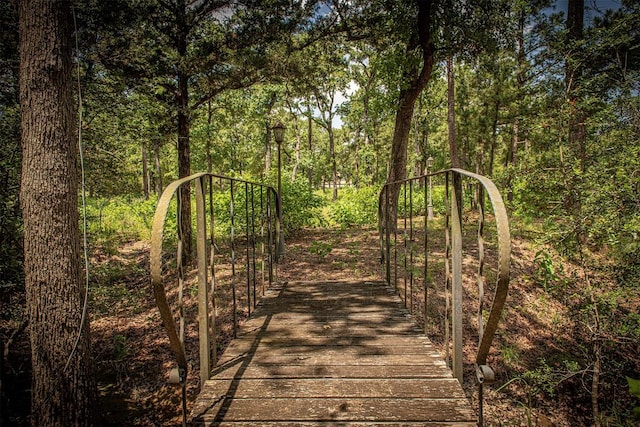 914 Sand Hills Rd, Red Rock, TX 78662 - view of home's community with a view of trees