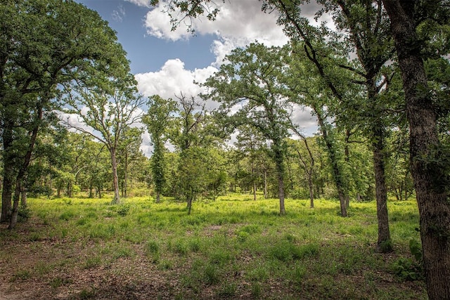 914 Sand Hills Rd, Red Rock, TX 78662 - view of woods