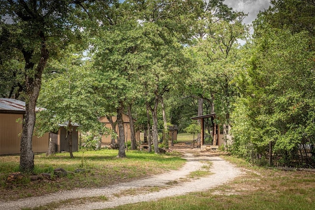 914 Sand Hills Rd, Red Rock, TX 78662 - view of dirt / gravel driveway