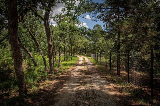 914 Sand Hills Rd, Red Rock, TX 78662 - view of dirt / gravel road featuring a wooded view