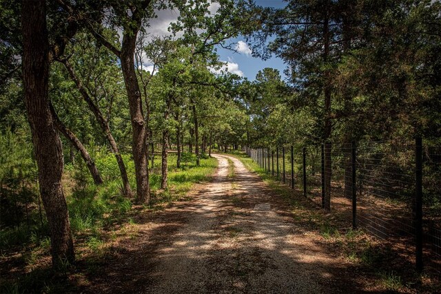 914 Sand Hills Rd, Red Rock, TX 78662 - photo 2