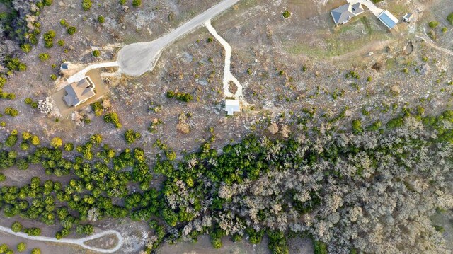 769 Three Creeks Dr, Bertram, TX 78605