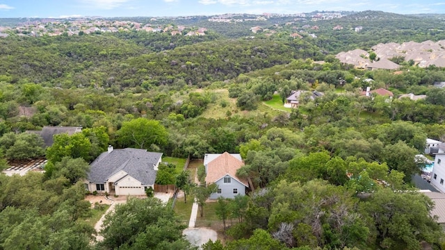 bird's eye view of a forest