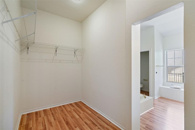 walk in closet featuring light wood-style floors