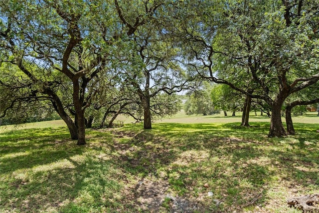 view of grassy yard