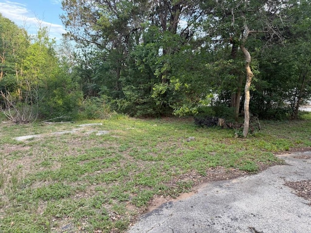 view of yard with a wooded view