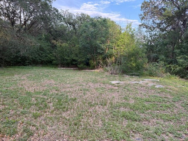 view of yard featuring a wooded view