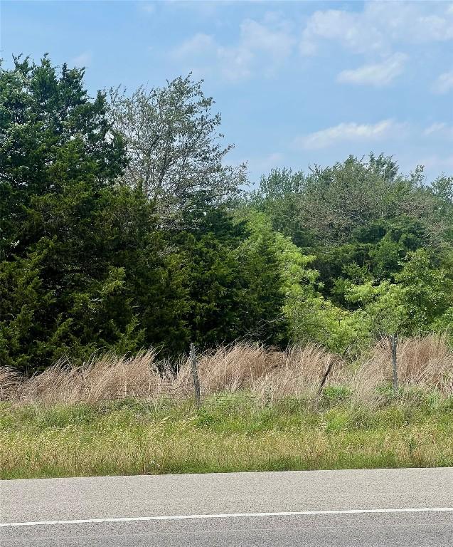 TBD State Highway 304, Smithville, TX 78957