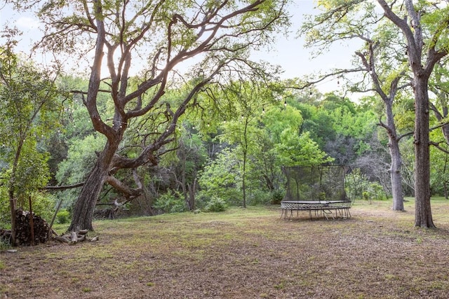 4504 Erin Ln, Austin, TX 78756 - view of green lawn featuring a trampoline and a wooded view