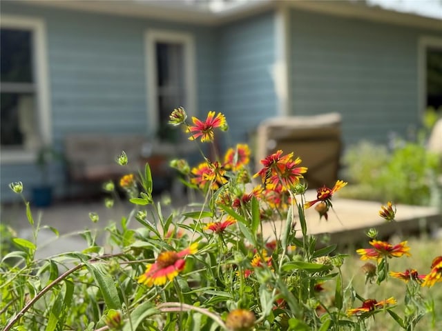 7605 Clydesdale Dr, Austin, TX 78745 - exterior view