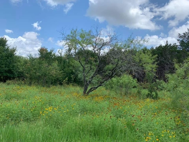 7605 Clydesdale Dr, Austin, TX 78745 - view of wooded area