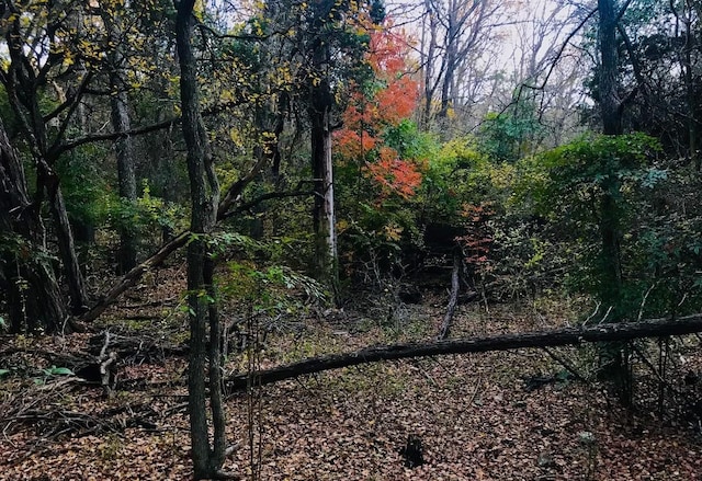 7605 Clydesdale Dr, Austin, TX 78745 - view of tree filled area