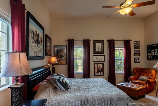 14305 Fallen Timber Dr, Austin, TX 78734 - bedroom featuring ceiling fan