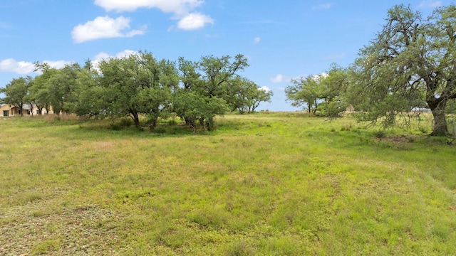 120 Trophy Oak Pt, Fredericksburg, TX 78624 - photo 22