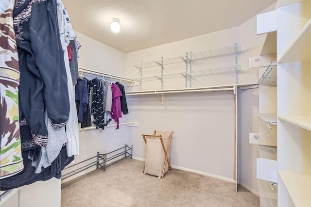 103 Savin Rise Ct, Pflugerville, TX 78660 - spacious closet with carpet floors