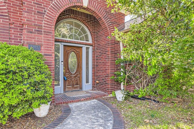 103 Savin Rise Ct, Pflugerville, TX 78660 - property entrance with brick siding