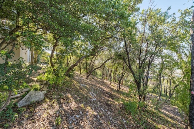6605 W Courtyard Dr, Austin, TX 78730 - view of yard