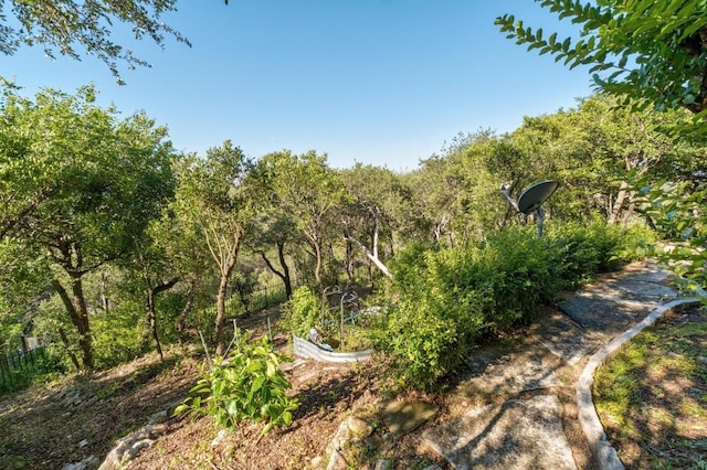 6605 W Courtyard Dr, Austin, TX 78730 - view of yard with a vegetable garden
