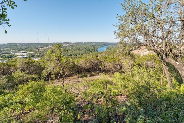 6605 W Courtyard Dr, Austin, TX 78730 - mountain view with a heavily wooded area