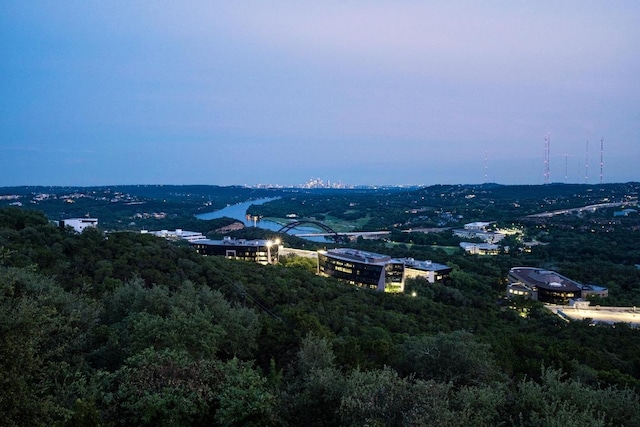 6605 W Courtyard Dr, Austin, TX 78730 - mountain view with a heavily wooded area