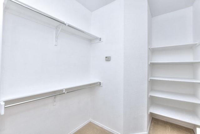 221 Bonham Loop, Georgetown, TX 78633 - view of spacious closet