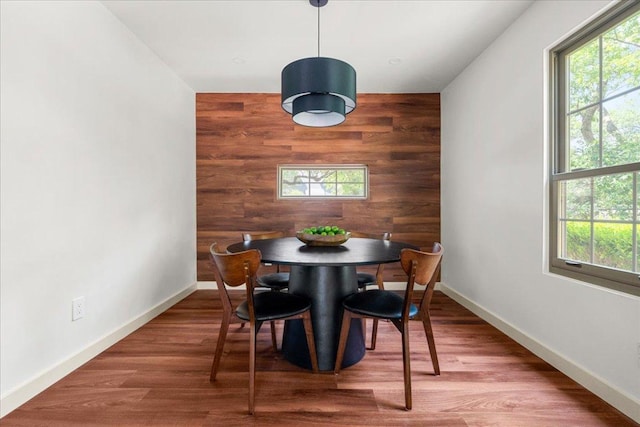 3605 Tallison Ter, Austin, TX 78704 - dining space featuring wooden walls, an accent wall, plenty of natural light, and wood finished floors